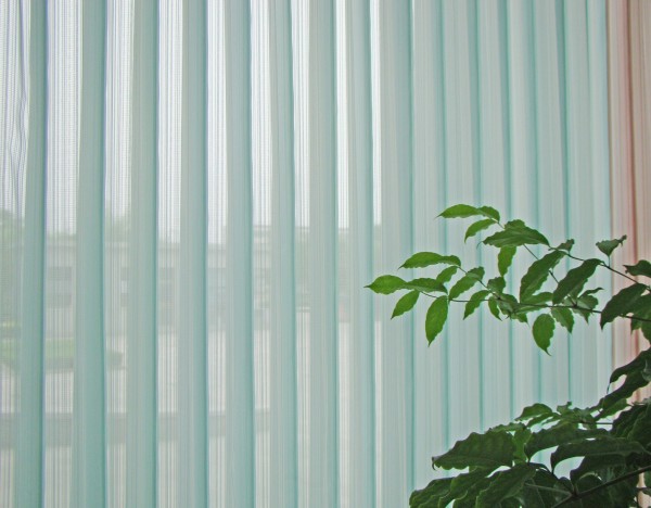 Vertical Sheers Blinds | Elegance for Your Windows | First Curtains
